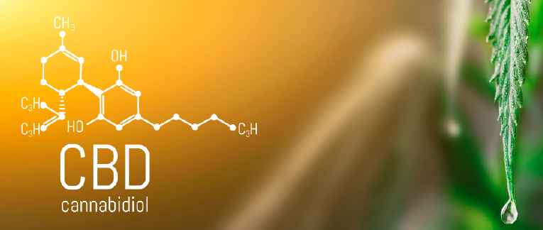 The chemical structure of cannabidiol (CBD)
