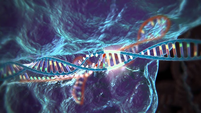  A visually striking depiction of DNA, highlighting the double-helix structure with a focus on genetic editing. Bright cuts and glowing effects emphasize the precise modifications made during gene editing processes, representing advancements in biotechnology and their potential applications in healthcare and disease treatment.